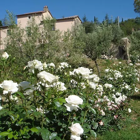 Orlando Cortona