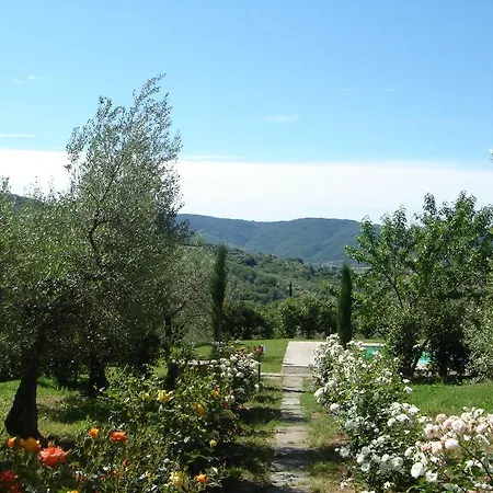 Orlando Villa *